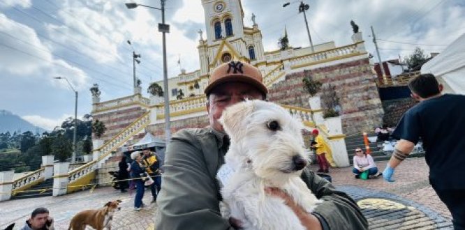 Consejo de Protección y Bienestar Animal 2025 Animales de La Candelaria